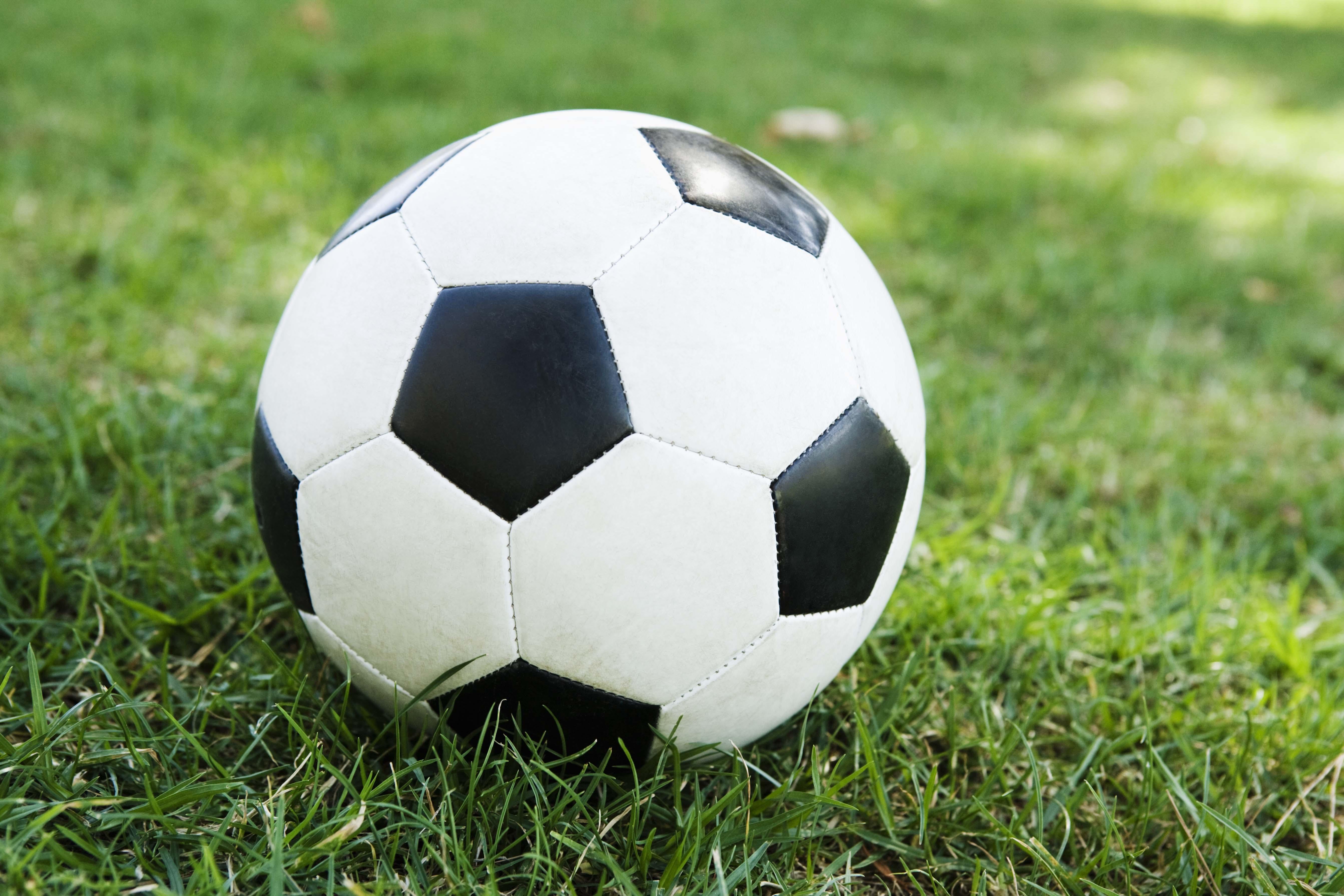 Organic green tones for a measured betting approach